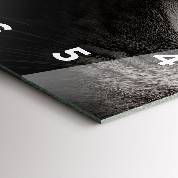 Kwadratowy zegar Pies i kot szkocki