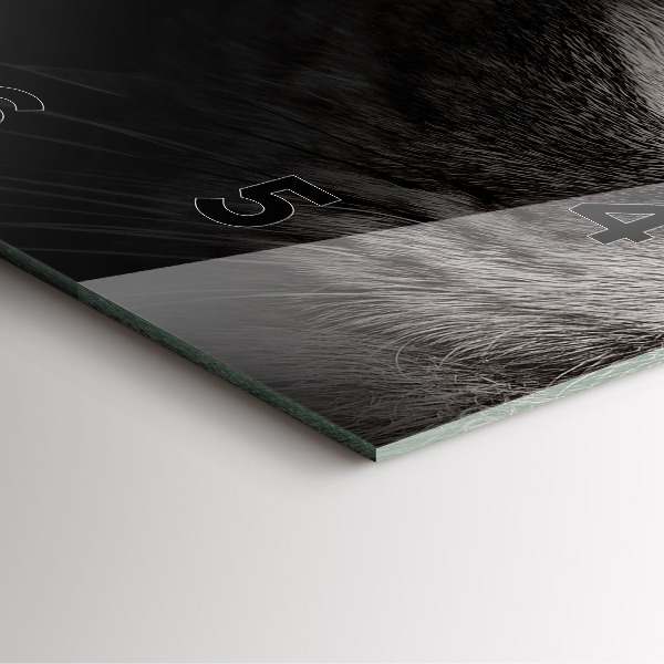 Kwadratowy zegar Pies i kot szkocki