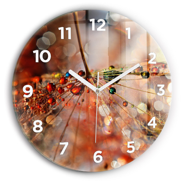 Zegar ścienny okrągły Dmuchawiec z rosą