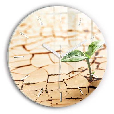 Zegar ścienny okrągły Roślina w suchej ziemi