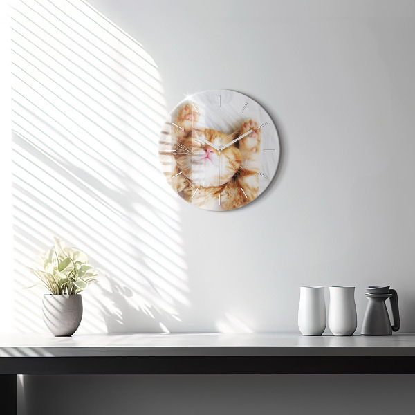 Zegar ścienny okrągły Śpiący mały kotek
