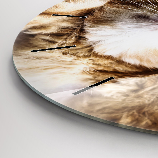 Zegar ścienny okrągły Śpiący mały kotek