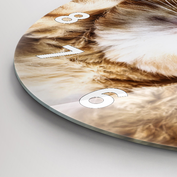 Zegar ścienny okrągły Śpiący mały kotek