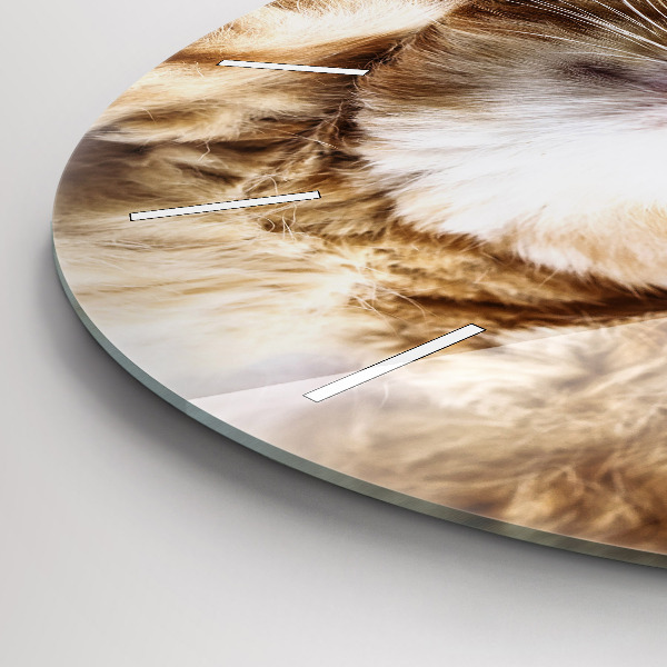 Zegar ścienny okrągły Śpiący mały kotek