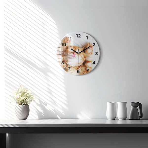 Zegar ścienny okrągły Śpiący mały kotek