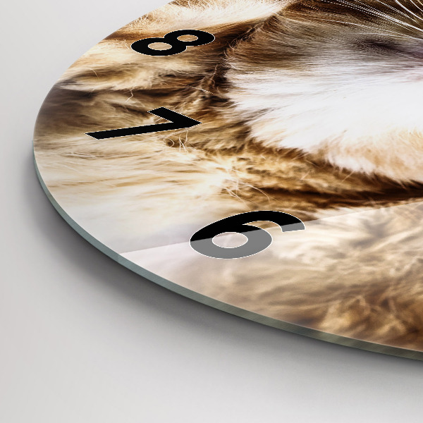 Zegar ścienny okrągły Śpiący mały kotek