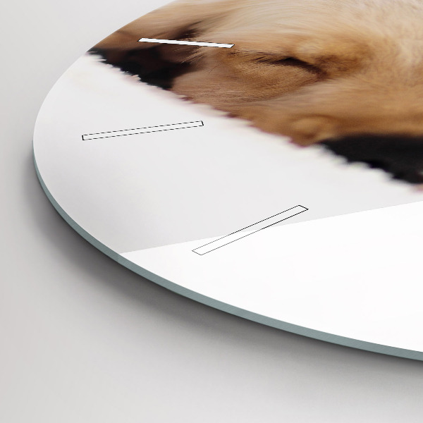 Zegar okrągły Śpiący kot i pies