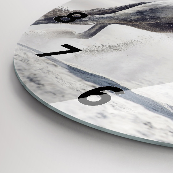 Zegar ścienny okrągły Galopujący biały koń