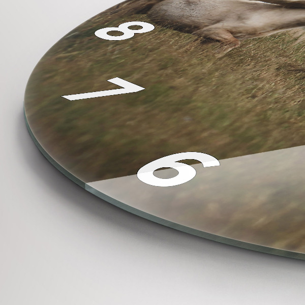 Zegar okrągły z nadrukiem Konie w galopie