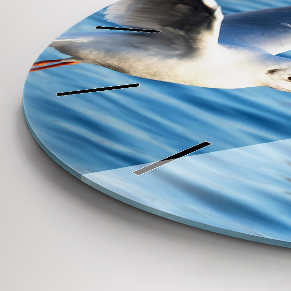 Zegar szklany okrągły Mewy w Gdyni