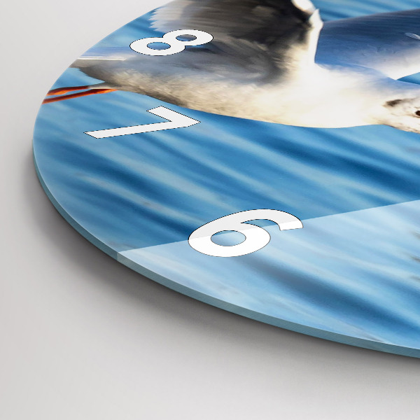 Zegar szklany okrągły Mewy w Gdyni