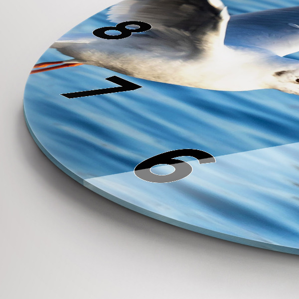 Zegar szklany okrągły Mewy w Gdyni