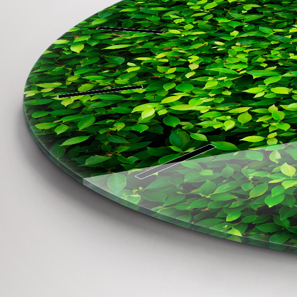 Zegar okrągły Żywopłot liście