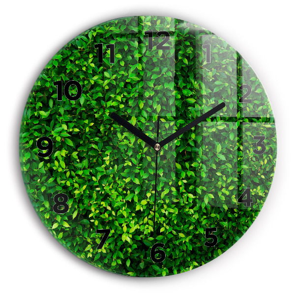 Zegar okrągły Żywopłot liście