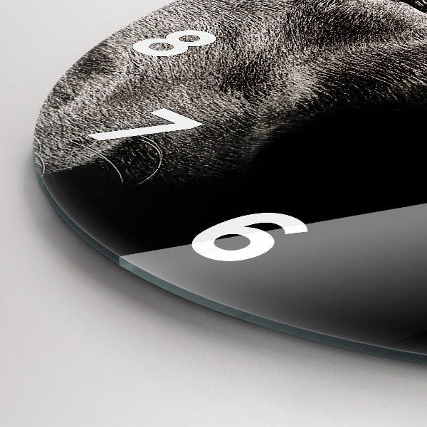 Zegar ścienny okrągły Pies i kot szkocki